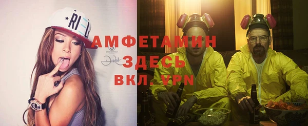 шишки Алексин