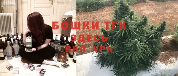шишки Алексин