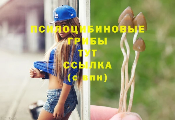шишки Алексин