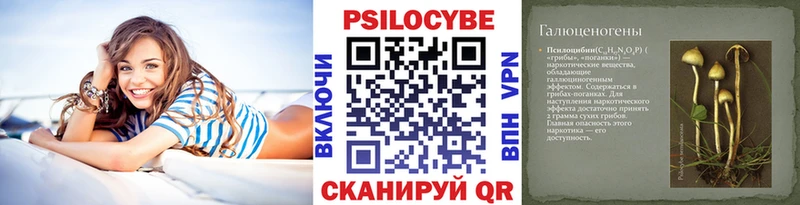 Псилоцибиновые грибы прущие грибы  darknet наркотические препараты  Усть-Илимск  KRAKEN как войти 